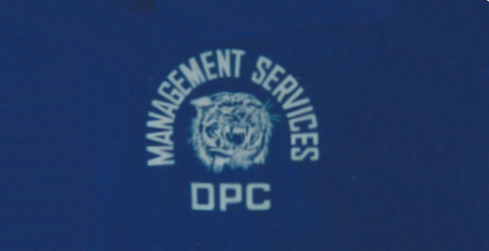 The Original Tigers Logo